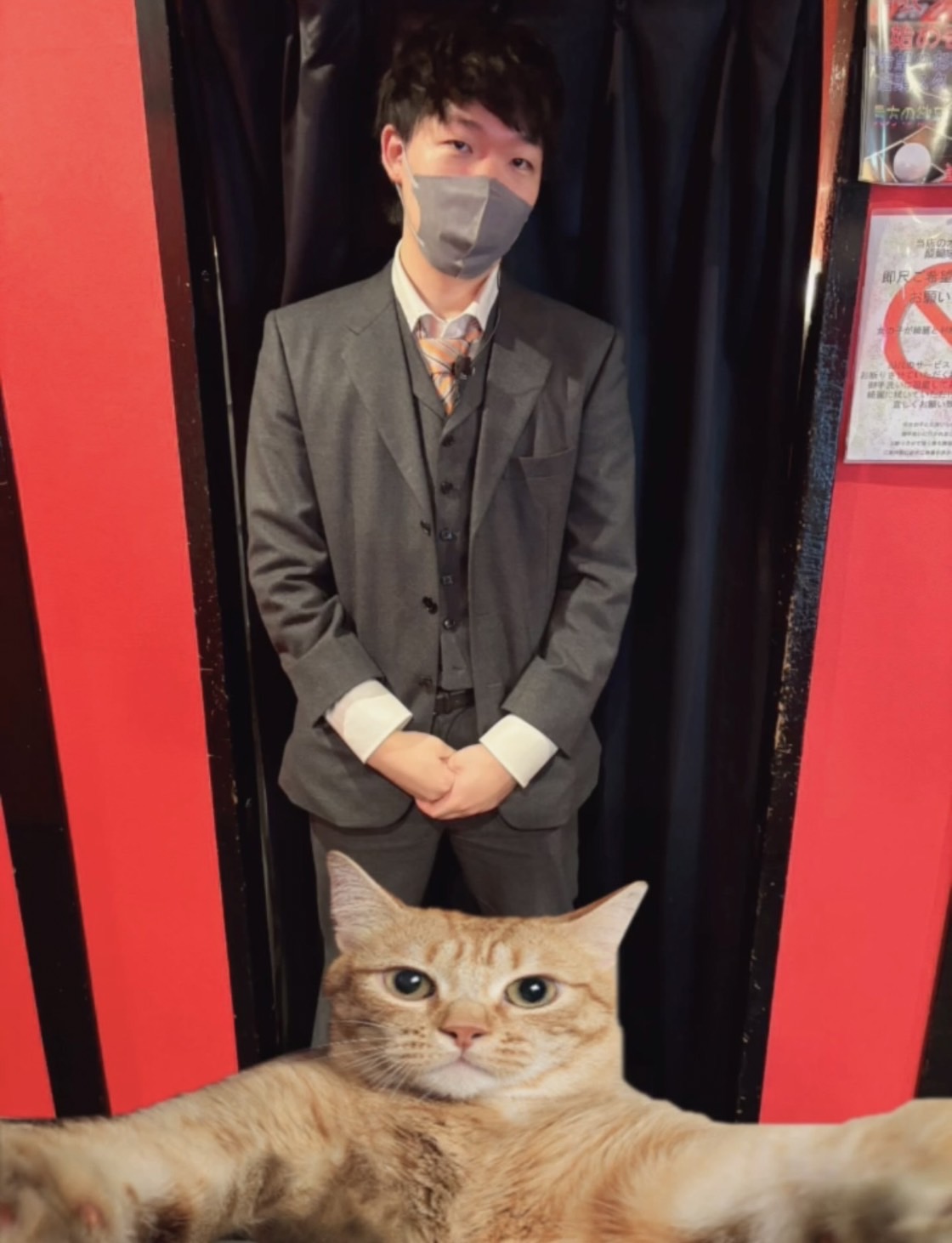 あたらしい仲間